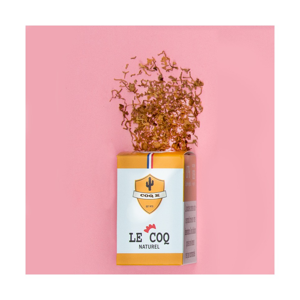 chargement de l'image